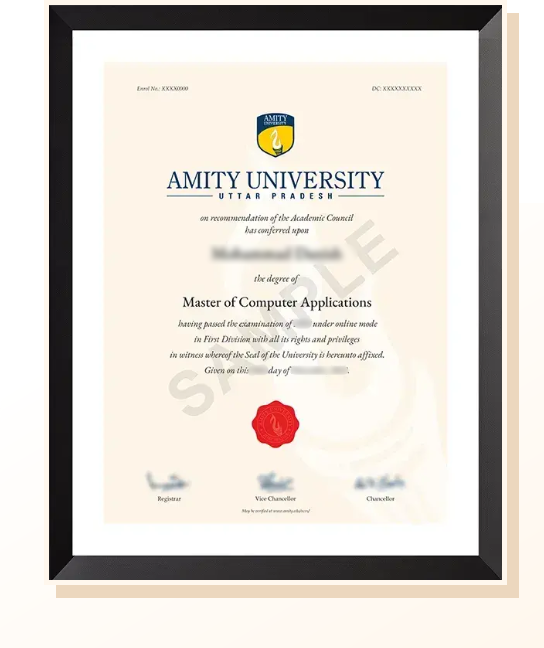 Amity Online certificate